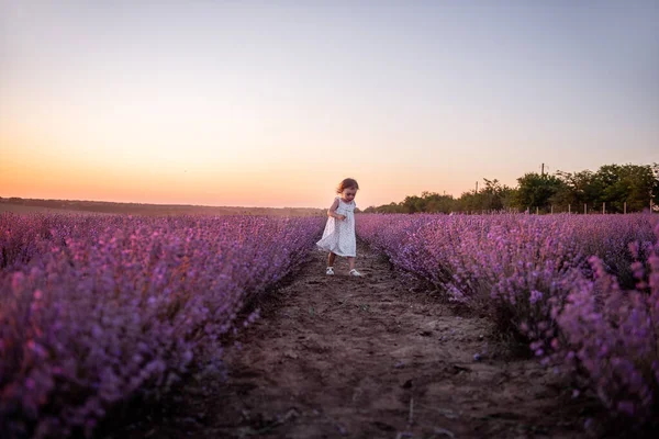 花のドレスの少女は 日没時に列の間で紫色のラベンダーの畑を横切って走ります 幼児の子供は田舎を歩くのが楽しい アレルギーの概念 天然物 スペースのコピー — ストック写真
