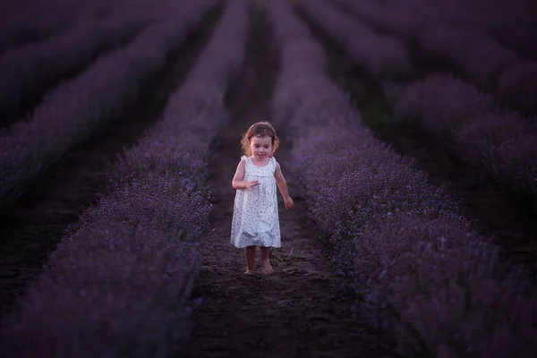 Klein Meisje Bloemenjurk Loopt Blootsvoets Het Veld Van Paarse Lavendel — Stockfoto