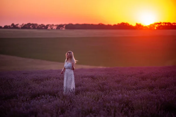 若いブロンドの女性は 太陽の光の中で日没時に紫色のフィールドに立っています 田舎での旅行 アレルギーの概念 日没の空 長い健康な髪を持つ無料の女の子 人間の田舎生活 — ストック写真