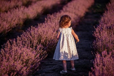 Çiçekli elbiseli küçük kız gün batımında mor lavanta tarlasında duruyor. Yüzü olmayan çocuk kırsalda yürürken eğleniyor. Alerji konsepti. Doğal ürünler, parfüm..