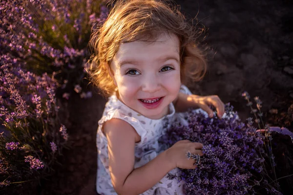 Top View Portrait Little Girl Flower Dress Sitting Field Rows — Stock Photo, Image