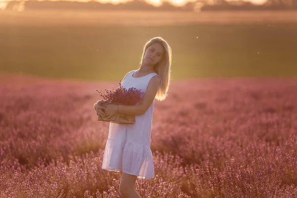 흰옷을 여자는 밭에서 자주색 라벤더를 손으로 바구니를 있습니다 꽃다발을 밀레니엄 — 스톡 사진