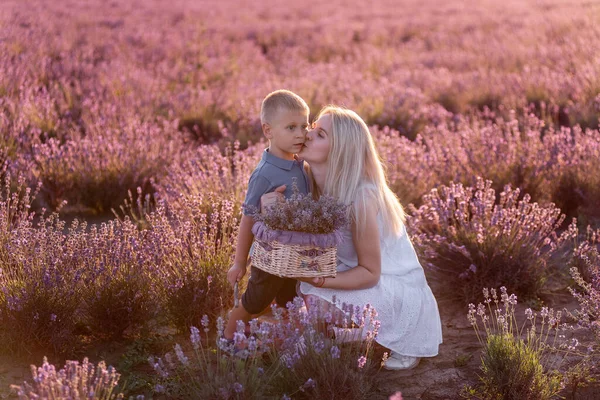 Moeder Zoontje Houden Een Mand Met Boeket Paarse Lavendel Het — Stockfoto
