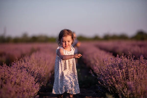 Игривый Милый Мальчик Девочка Играют Рядах Лаванды Фиолетовое Поле Закате — стоковое фото