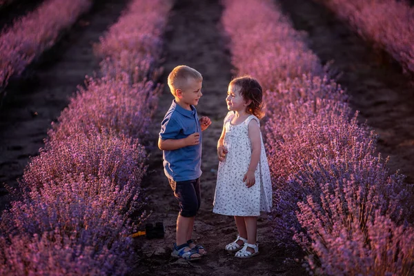 Schattig Mooi Portret Van Kleine Koppel Jongen Meisje Paarse Lavendel — Stockfoto
