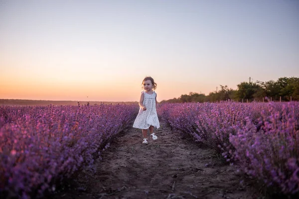 Klein Meisje Bloemenjurk Loopt Het Veld Van Paarse Lavendel Tussen — Stockfoto