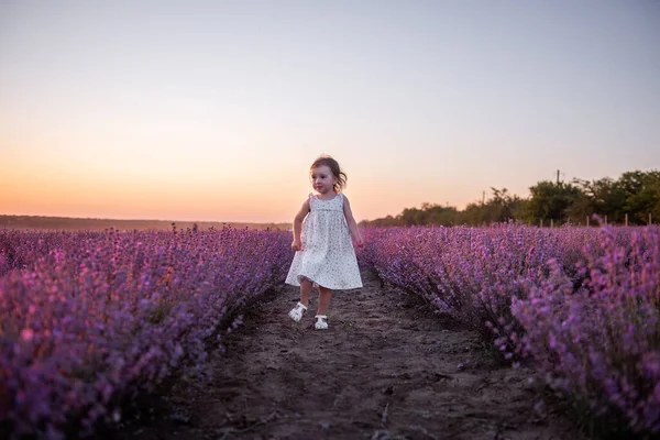 Little Girl Flower Dress Runs Field Purple Lavender Rows Sunset — Stock Photo, Image