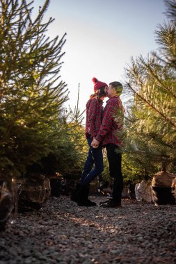 Kareli kırmızı gömlekli güzel bir çift, örgü şapkalı, yeşil Noel ağacı pazarında burun buruna sarılıyorlar. Genç adam gülüyor, muhteşem kadını öpüyor. Tatil atmosferi