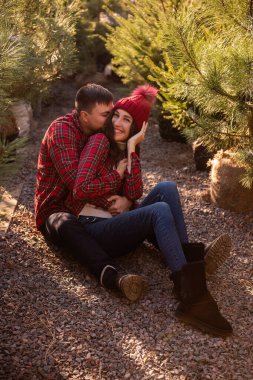 Ormanda gevşeyen, kırmızı kareli gömlekler giyen, Noel ağacı fidanlarının arasında oturan genç çiftlerin yakın plan portreleri. Erkek, örgü şapkalı kadını sevgiyle kucaklar, yanaktan öper.