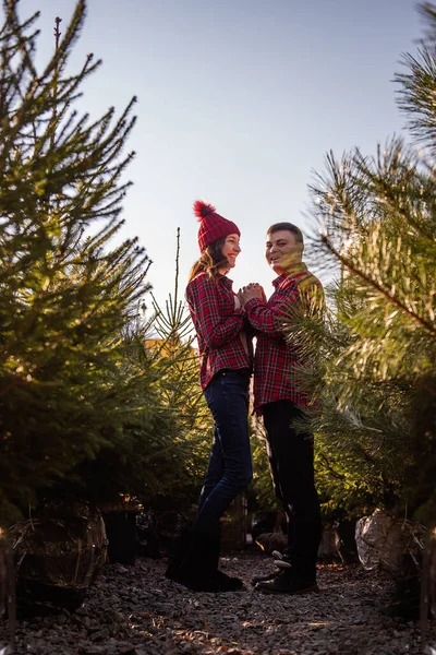 Kırmızı tişörtlü neşeli bir çift örgü örmüş şapkalar takıyor, yeşil Noel ağacı pazarında gülüyorlar. Genç adam gitmesine izin vermeden güzel bir kadının elini tutuyor. Tatil