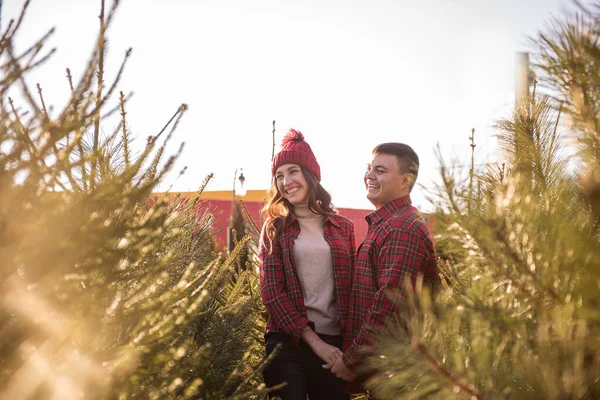 Cheerful couple in love in checkered red shirts, knitted hats are fooling around, laughing among green Christmas tree market. Young man holds hands of beautiful woman without letting go. Holiday