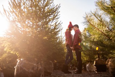 Kareli kırmızı gömlekli güzel bir çift, örgü şapkalı, yeşil Noel ağacı pazarında burun buruna sarılıyorlar. Genç adam gülüyor, muhteşem kadını öpüyor. Tatil atmosferi