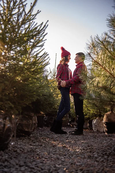 Cheerful couple in love in checkered red shirts, knitted hats hold hands among green Christmas tree market. Young man looks lovingly at beautiful woman without letting go of hands. Holiday atmosphere
