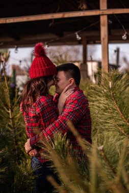 Kareli kırmızı gömlekli güzel bir çift, örgü şapkalı, yeşil Noel ağacı pazarında burun buruna sarılıyorlar. Genç adam gülüyor, muhteşem kadını öpüyor. Tatil atmosferi
