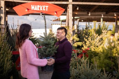 Birbirine aşık çiftler Noel ağacını açık hava pazarından seçer. Genç bir adam ve güzel bir kadın birbirlerine bakıyorlar, ellerinde canlı Noel ağacı olan bir küvet tutuyorlar. Tatil süslemeleri için çevre dostu seçim.