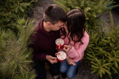Birbirine aşık bir çift yeşil çam ağaçları, köknar ağaçları ve Noel ağacı pazarında oturuyor. Genç bir adam ve kadın, kırmızı bardaklardan sıcak kakao içiyor. Şekerlemeli, bastonlu. Tatil atmosferi, eğlence