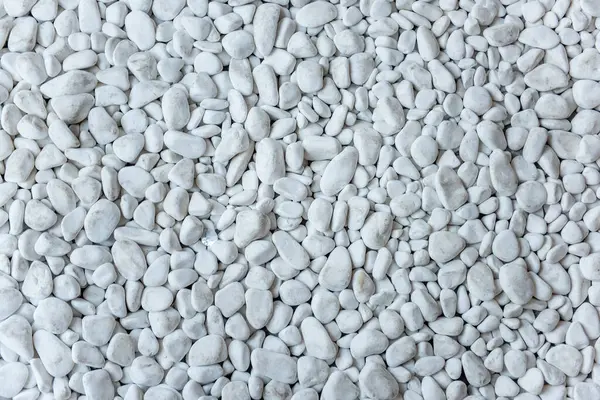 Uniform Texture Smooth White Pebbles Ideal Serene Minimalistic Design Backgrounds — Stock Photo, Image