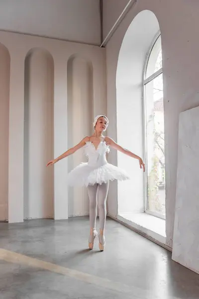 Elegante Giovane Ballerina Esibisce Accanto Grandi Finestre Posizione Bilico Delicato Immagini Stock Royalty Free