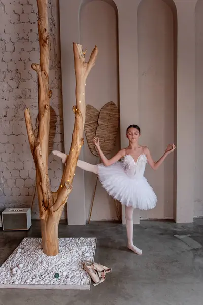Giovane Ballerina Tutù Bianco Con Sorriso Gioioso Scherzare Cattura Capriccio Immagini Stock Royalty Free