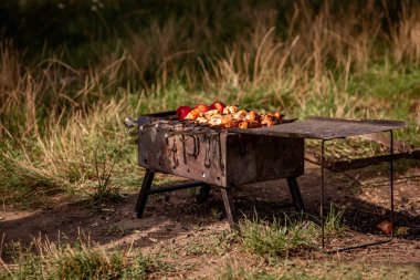 Açık alevler üzerinde pişen tavuk ve elmalarla dolu kırsal bir ızgara, çimenli bir alanda geçiyor..