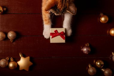 Koyu ahşap bir yüzeyde altın Noel süsleriyle çevrili kırmızı bir fiyonklu küçük bir hediye kutusunu tırmalayan kedinin üst görüntüsü. Şenlikli ve rahat bir tatil sahnesi. Evcil hayvan tebrik kartı