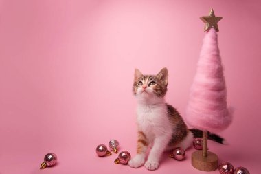 Pamuk şekerin yanında pembe bir Noel ağacı gibi oturan ve pastel pembe arka planda ışıldayan bir süs eşyası. Şenlikli ve şirin temalar için kartpostal.