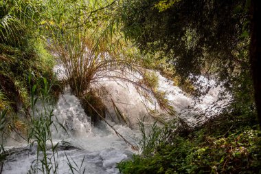 Hırvatistan 'da popüler bir turizm merkezi olan güzel Krka ulusal parkındaki kayaların ve canlı yeşil bitkilerin üzerinden akan Whitewater, doğanın saf güzelliğini gözler önüne seriyor.