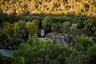 Hırvatistan 'ın Krka ulusal parkındaki Krka nehri yakınlarındaki terk edilmiş bir evi çevreleyen ağaçlar ve bitki örtüsünü altın saat ışığı aydınlatıyor