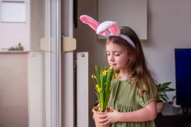 Sevimli kreş kızı tavşan kulaklığı takıyor, tencerede sarı nergis kokusu alıyor, paskalya bayramını veya bahar festivalini evde kutluyor.