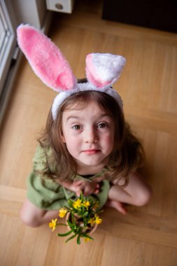 Tavşan kulaklığı takan küçük bir kızın güzel bir ahşap zeminde otururken elinde canlı sarı Paskalya narsisleri çiçekleri tutarken mutlu mesut masumiyet ve neşe saçan görüntüsü.