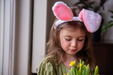 Tavşan kulaklığı takan sevimli küçük kız pencereden canlı sarı nergislere bakıyor, neşeli bir şekilde Paskalya 'yı kutluyor ve baharın güzelliğini ve sıcaklığını kutluyor.