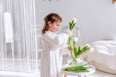 Beyaz elbiseli şirin küçük kız beyaz masadaki cam bir vazoda bir buket beyaz lale düzenliyor. Parlak odayı barışçıl ve masum bir atmosferle dolduruyor.