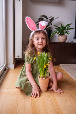 Paskalya tavşanı kulaklığı takan sevimli anaokulu kızı ahşap zeminde oturmuş terasotta demliğinde narsisli bitki tutuyor Paskalya veya ilkbaharı evde kutluyor.