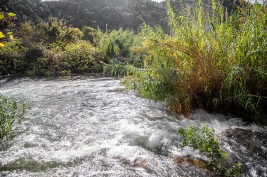 Hırvatistan 'ın Krka ulusal parkında akan beyaz su, doğal ışıkla aydınlanan yemyeşil bitki örtüsüyle çevrili ve küçük şelaleler oluşturuyor.