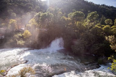 Şelaleler, Hırvatistan 'ın Krka ulusal parkında güzel bir doğal manzara yaratan yemyeşil bitki örtüsü ve arka ışıklandırma ile çevrili Krka nehrine dökülüyor.