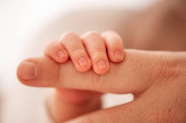 Yeni doğmuş bir bebeğin küçük elinin yakın plan çekimi bir yetişkinin parmağını nazikçe kavraması, ebeveyn ile çocuk arasındaki hassas bağı ve derin bağı vurguluyor.