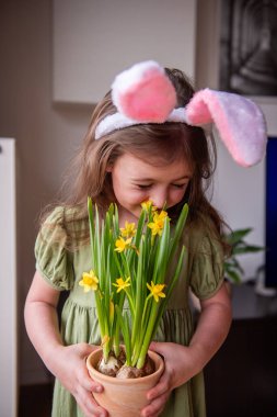 Küçük sevimli bir kız, tavşan kulaklığı takıyor, neşeli bir şekilde evde canlı sarı nergis kokusu alıyor, Paskalya bayramını ve baharın güzelliğini kutluyor.