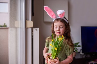 Sevimli kreş kızı tavşan kulaklığı takıyor, neşeli bir şekilde sarı nergisleri kokluyor, Paskalya bayramını evde mutluluk ve masumiyetle kutluyor.