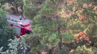 Hırvatistan 'ın Split kentinde hasar gören çam ağaçları yakınına park eden itfaiyeciler, geniş çaplı kentsel manzara yıkım ve kurtarma sürecini ortaya çıkardılar.