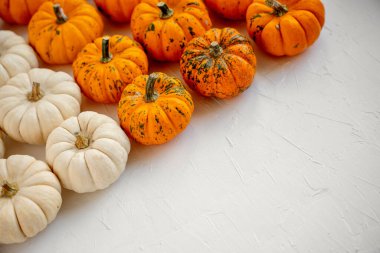 Pek çok turuncu ve beyaz sonbahar minik bebek balkabağı negatif boşluklu düz bir kompozisyon oluşturur, sonbahar tatilleri, tebrik kartları veya mevsimlik yemek tarifleri için idealdir.