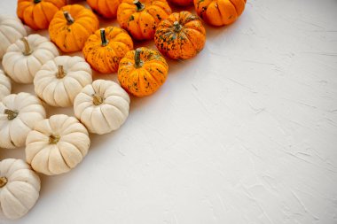 Minyatür beyaz ve turuncu bebek balkabakları ve kabakları desenli beyaz bir yüzey oluşturarak Cadılar Bayramı ya da Şükran Günü etkinlikleri için çekici bir düz arkaplan oluşturur.