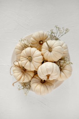 Beyaz, minik bebek balkabakları beyaz bir yüzeyde narin bebek nefesiyle düzenlenir. Sonbahar kutlamaları, Cadılar Bayramı ve Şükran Günü kutlamaları için minimalist bir düzlük oluşturur.