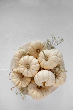 Beyaz minik bebek balkabakları ve kurumuş bebek nefesleri düz bir kompozisyonda düzenlenerek sonbahar, Cadılar Bayramı ve Şükran Günü kutlamaları için tarafsız ve zarif bir dekorasyon oluşturulur.