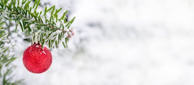 Kırmızı toplu pankarlı ladin ağacı. Açık havada dondurucu bir gün. Beyaz arka planda tatil dekoru. Mutlu Noeller ve mutlu yıllar..