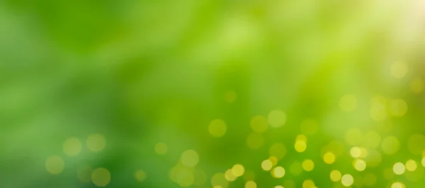 Abstracte Groene Achtergrond Met Onscherpe Lichten Zonnestralen Verblinding Begrepen Banner — Stockfoto