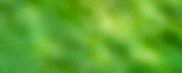 Размытый Зеленый Фон Принято Баннер Лето Весна — стоковое фото