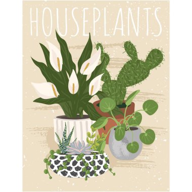 Yeşil ev bitkileri poster düz tasarımı. Esrar illüstrasyonunda ev bitkisi ve metin örneği. Sera broşürü ya da çiçekçi afişi için şablon