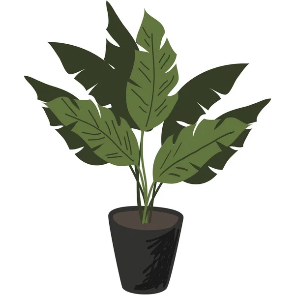 植物在盆栽载体 室内花盆图标 绿树花卡通片写字楼插画 中国常绿 背景为白色 — 图库矢量图片