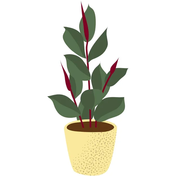 Зеленое Растение Траве Домашний Цветок Иллюстрация Цветочного Горшка Теплица Красным — стоковый вектор
