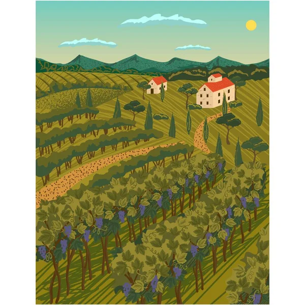 ブドウ畑の風景ベクトル ワイナリーの農場のイラストのためのブドウ 田舎の村の家と農業用地の背景 摂理におけるブドウ栽培 — ストックベクタ